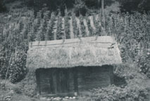 eika image